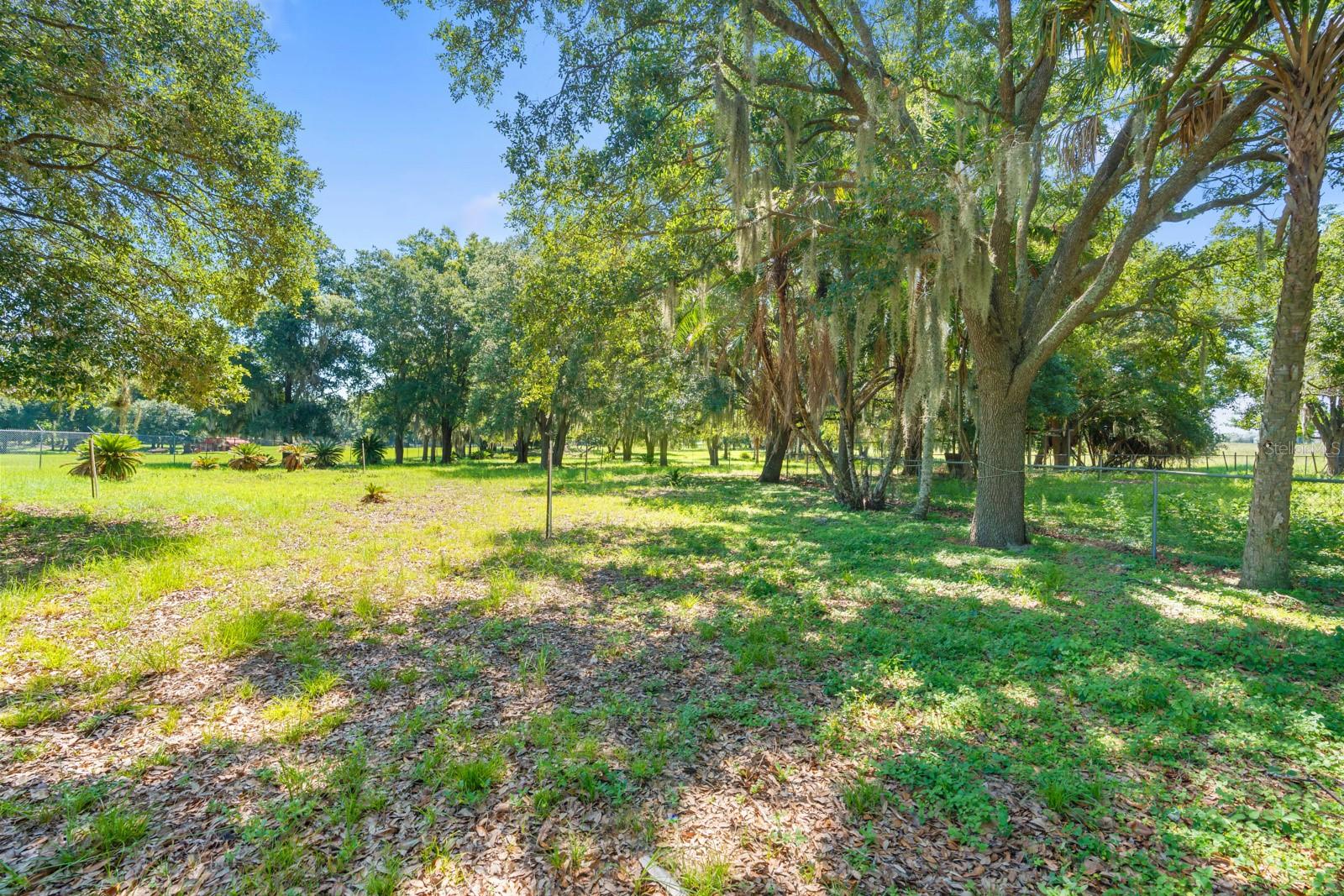12616 Thonotosassa Rd Property Photo 43