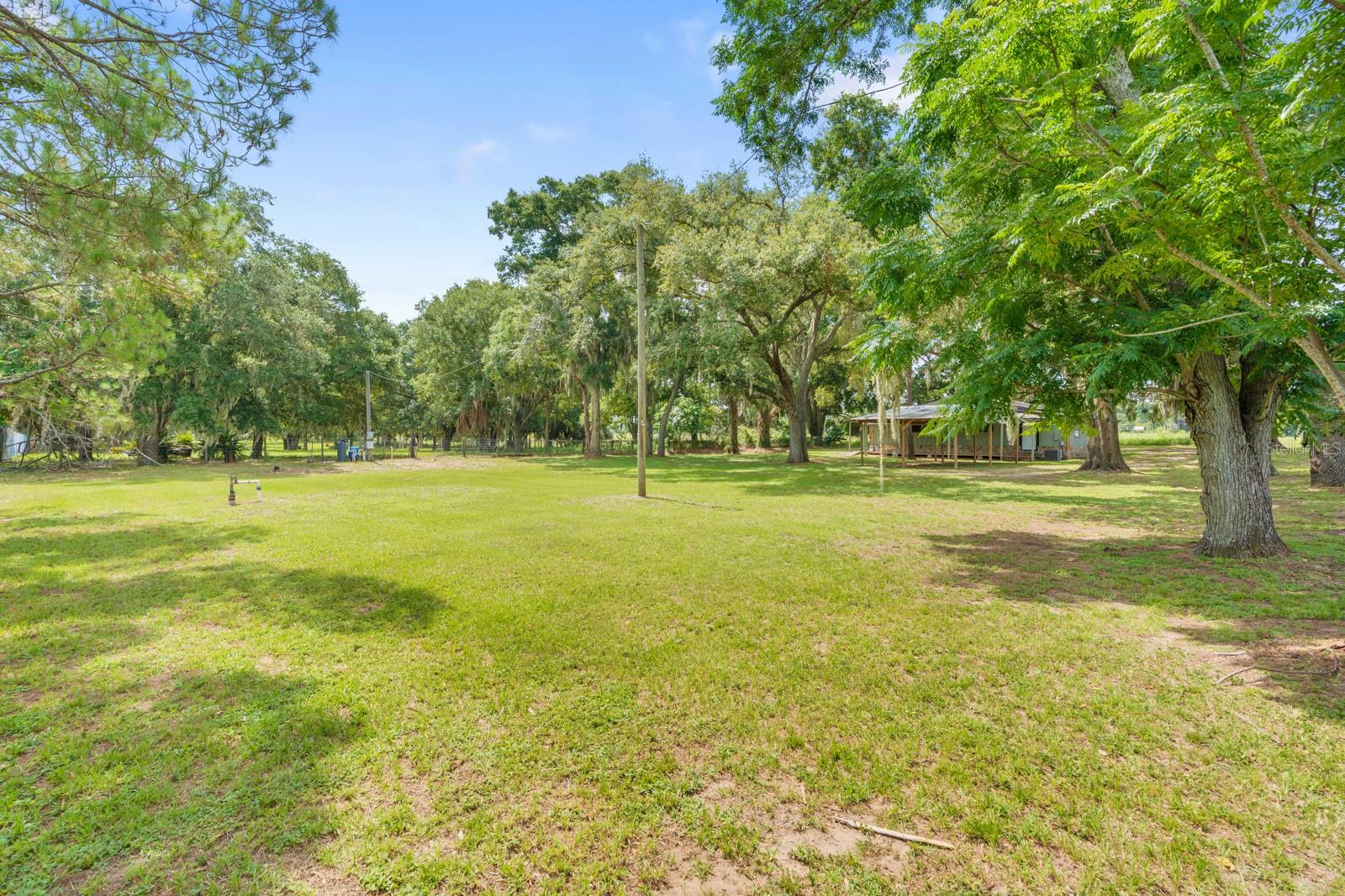 12616 Thonotosassa Rd Property Photo 45