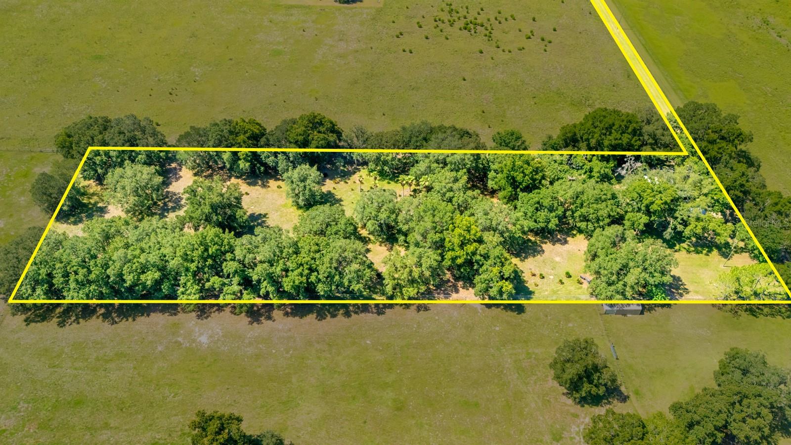 12616 Thonotosassa Rd Property Photo 51