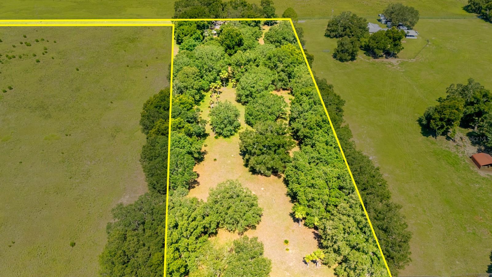 12616 Thonotosassa Rd Property Photo 52