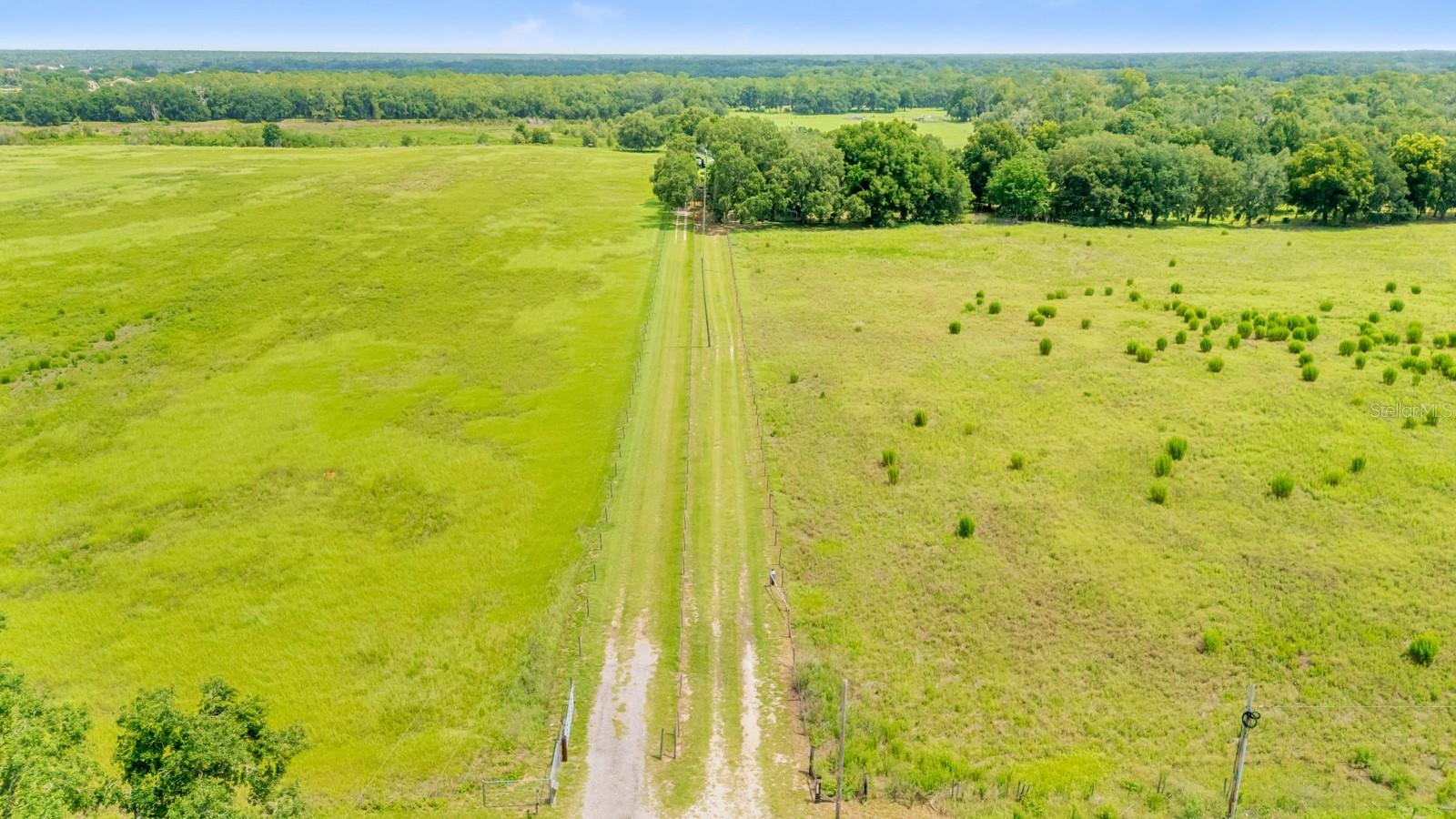 12616 Thonotosassa Rd Property Photo 53