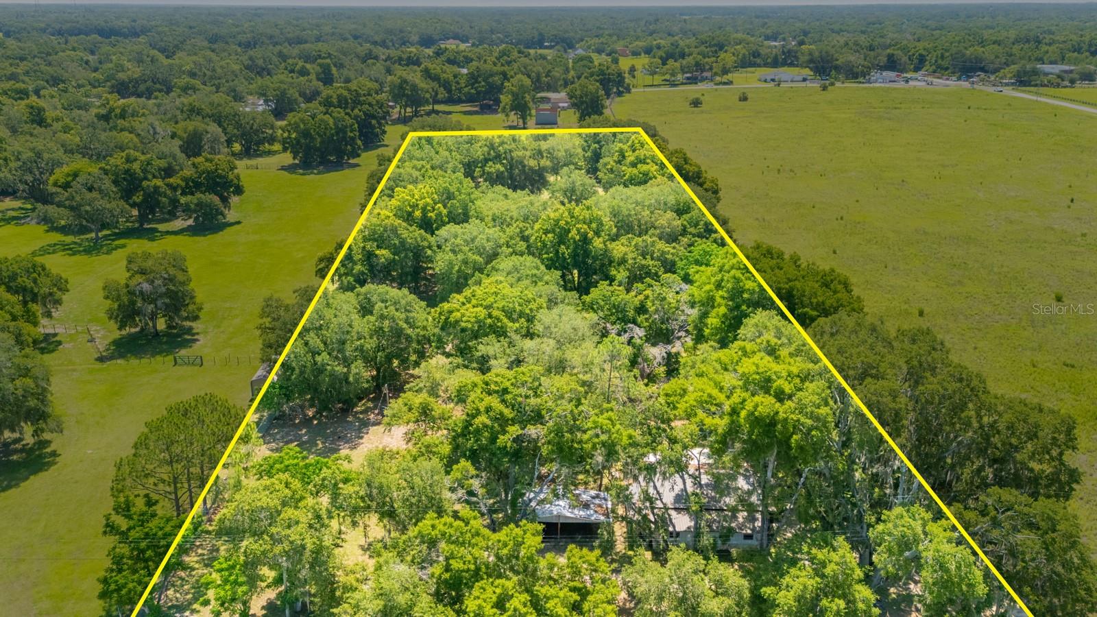 12616 Thonotosassa Rd Property Photo 54