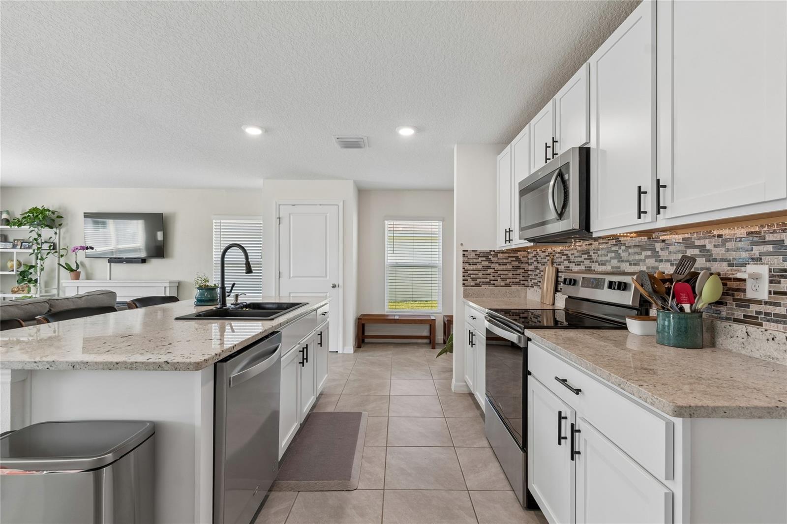 13756 Whiskey Daisy Dr Property Photo 22