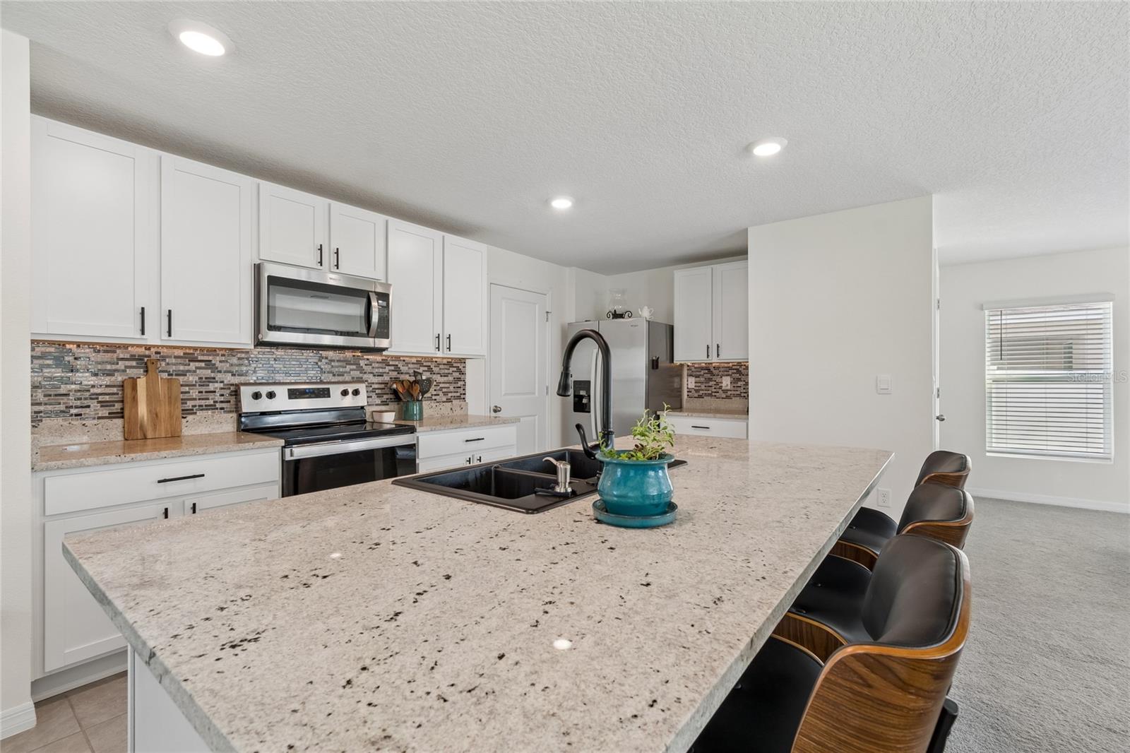 13756 Whiskey Daisy Dr Property Photo 25