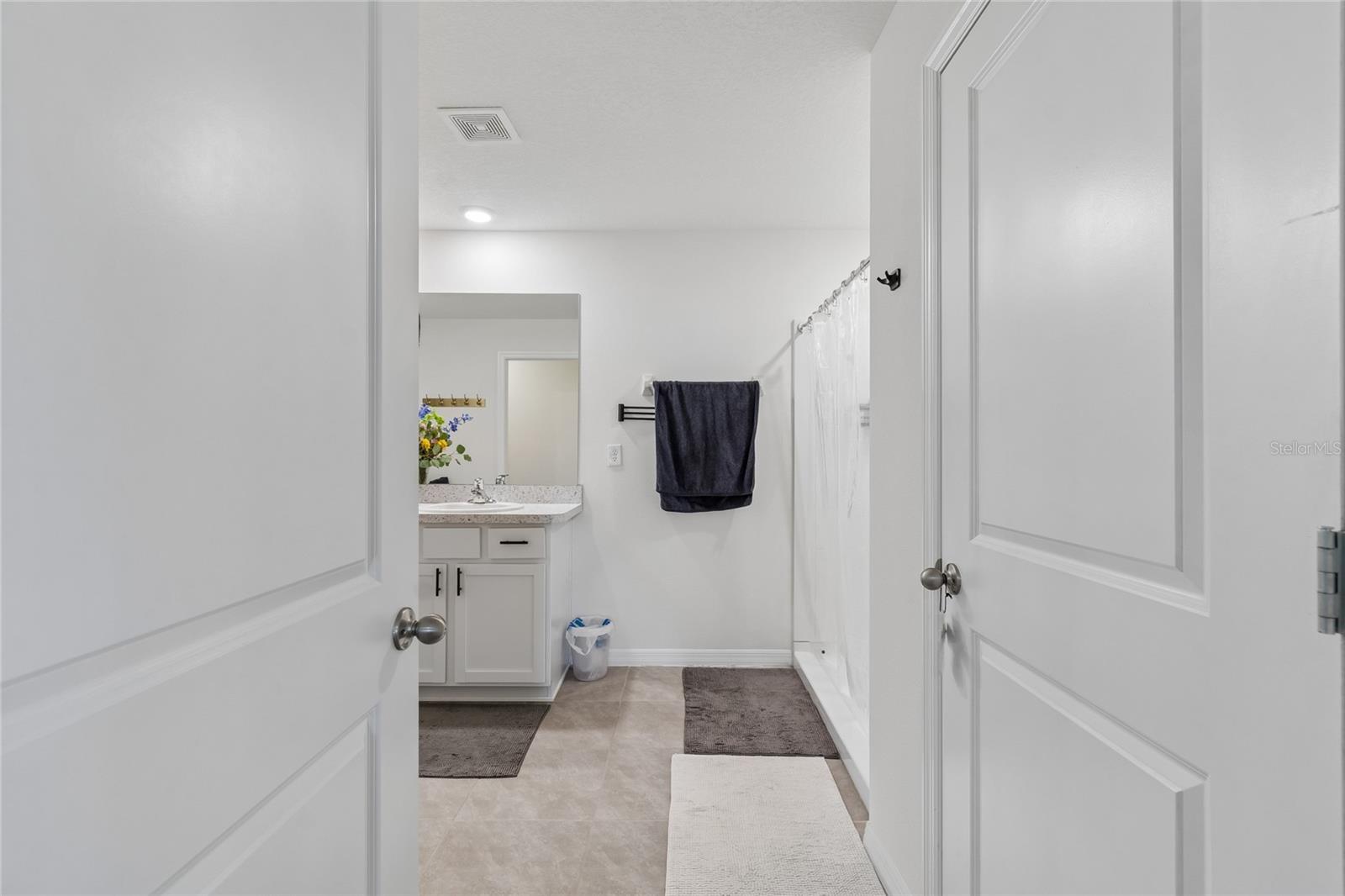 13756 Whiskey Daisy Dr Property Photo 67