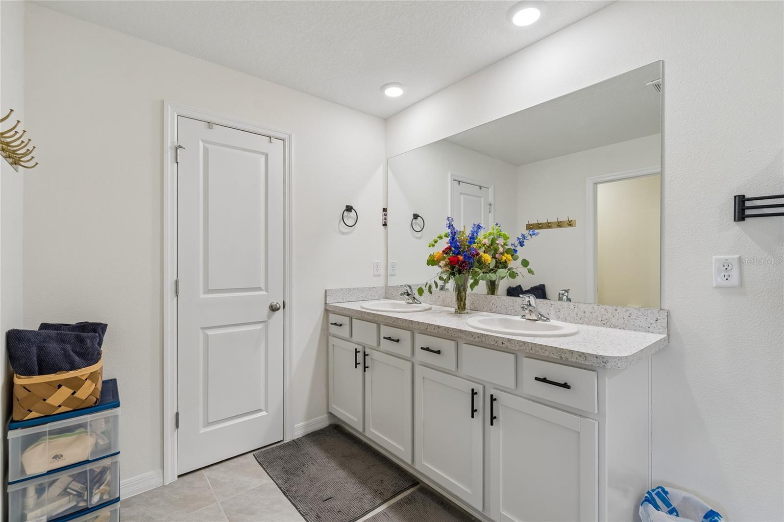 13756 Whiskey Daisy Dr Property Photo 68