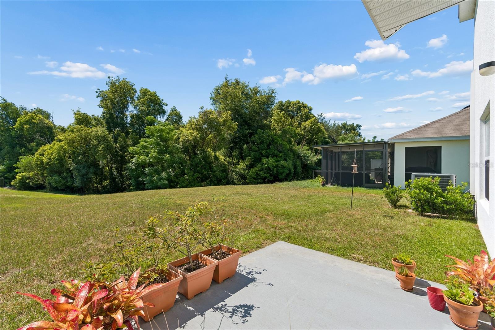 13756 Whiskey Daisy Dr Property Photo 73