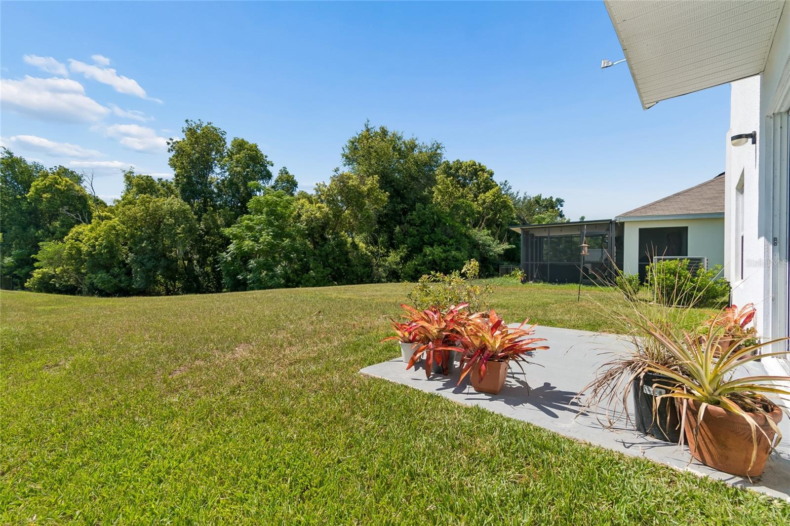 13756 Whiskey Daisy Dr Property Photo 74