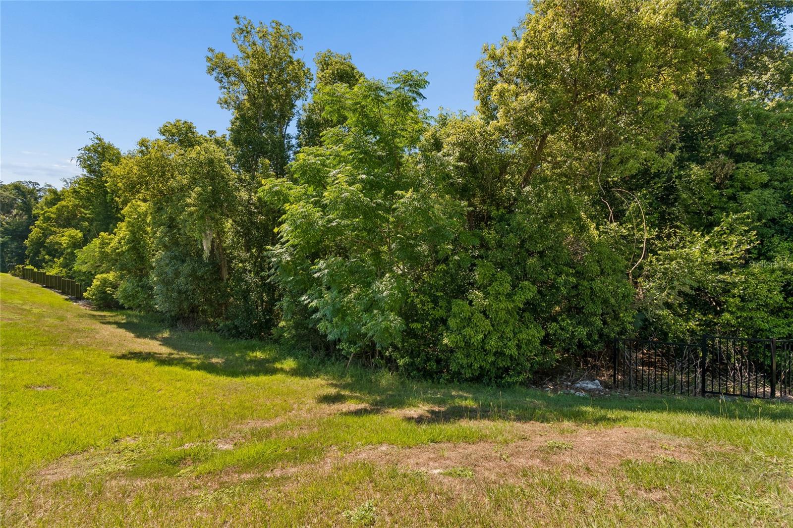 13756 Whiskey Daisy Dr Property Photo 80