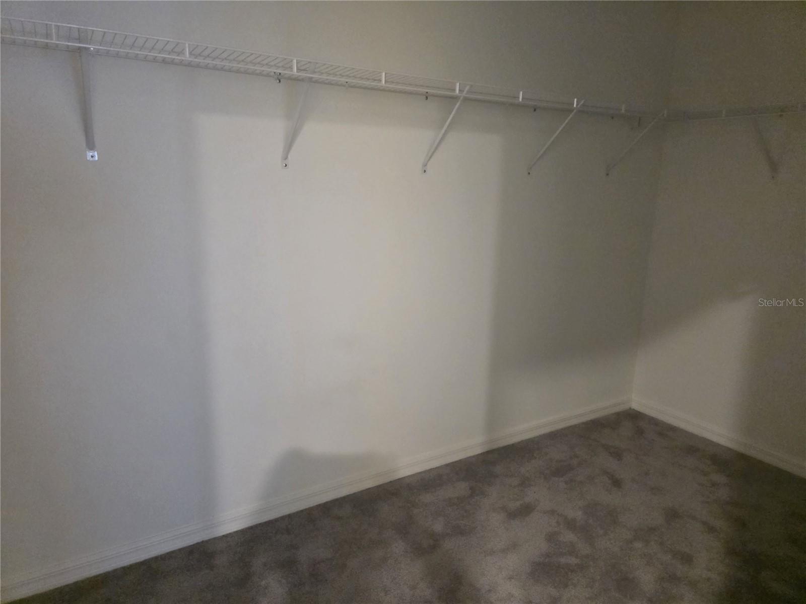 12588 Timber Moss Ln Property Photo 5