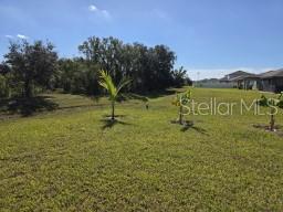 12588 Timber Moss Ln Property Photo 17