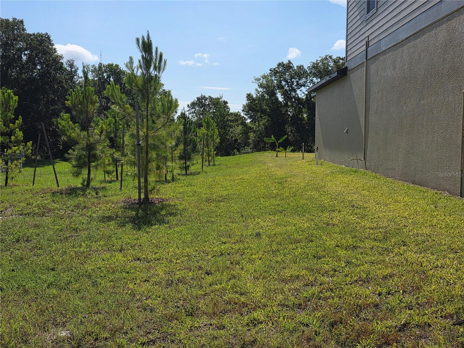 12588 Timber Moss Ln Property Photo 18