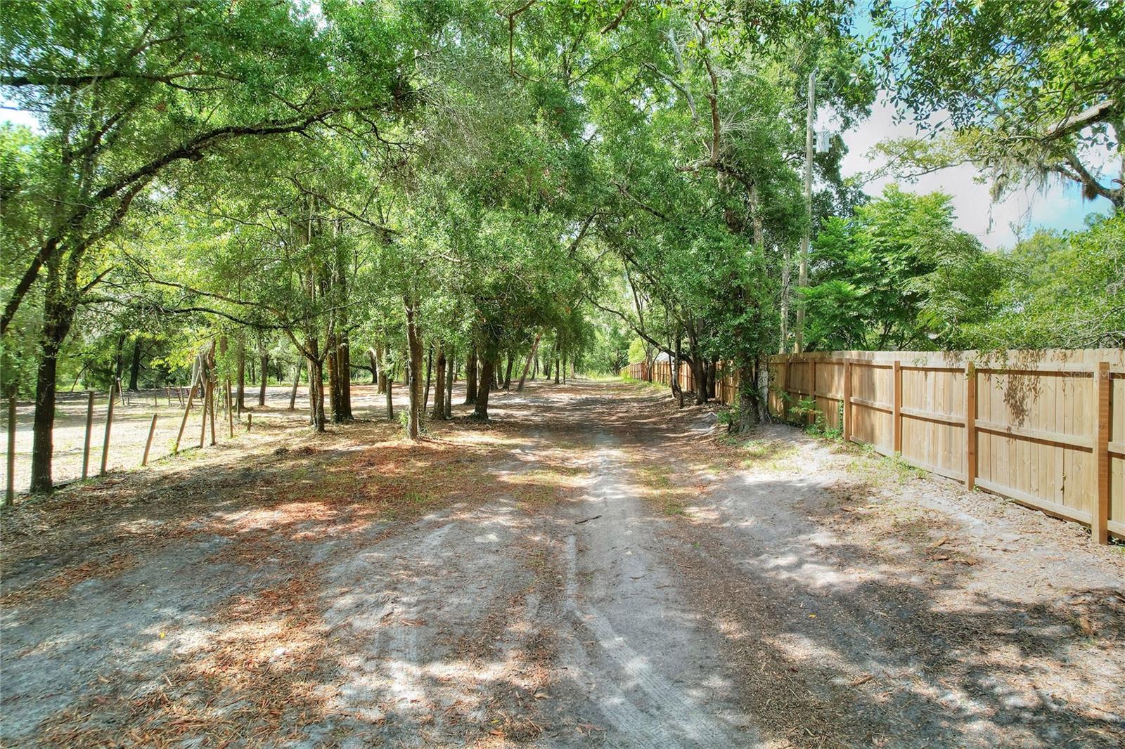 11000 Kitten Trl Property Photo 7