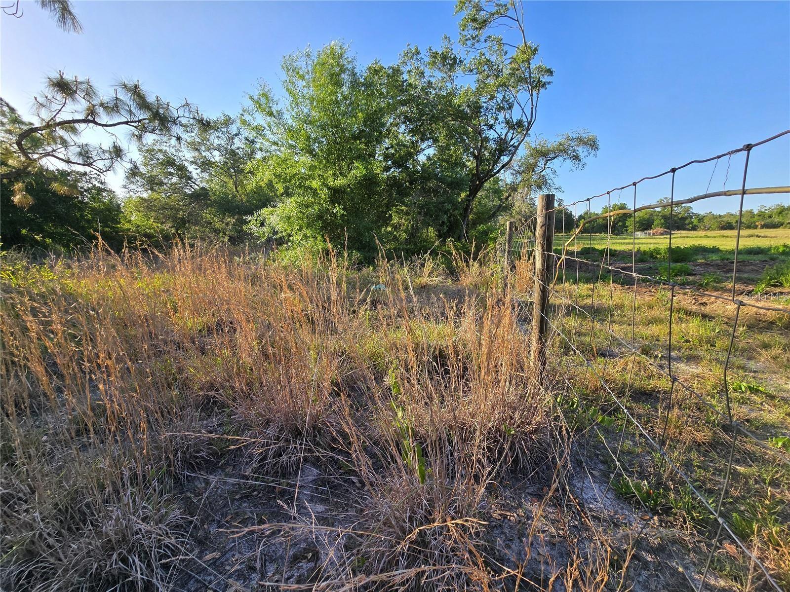 Waller Rd Property Photo 2