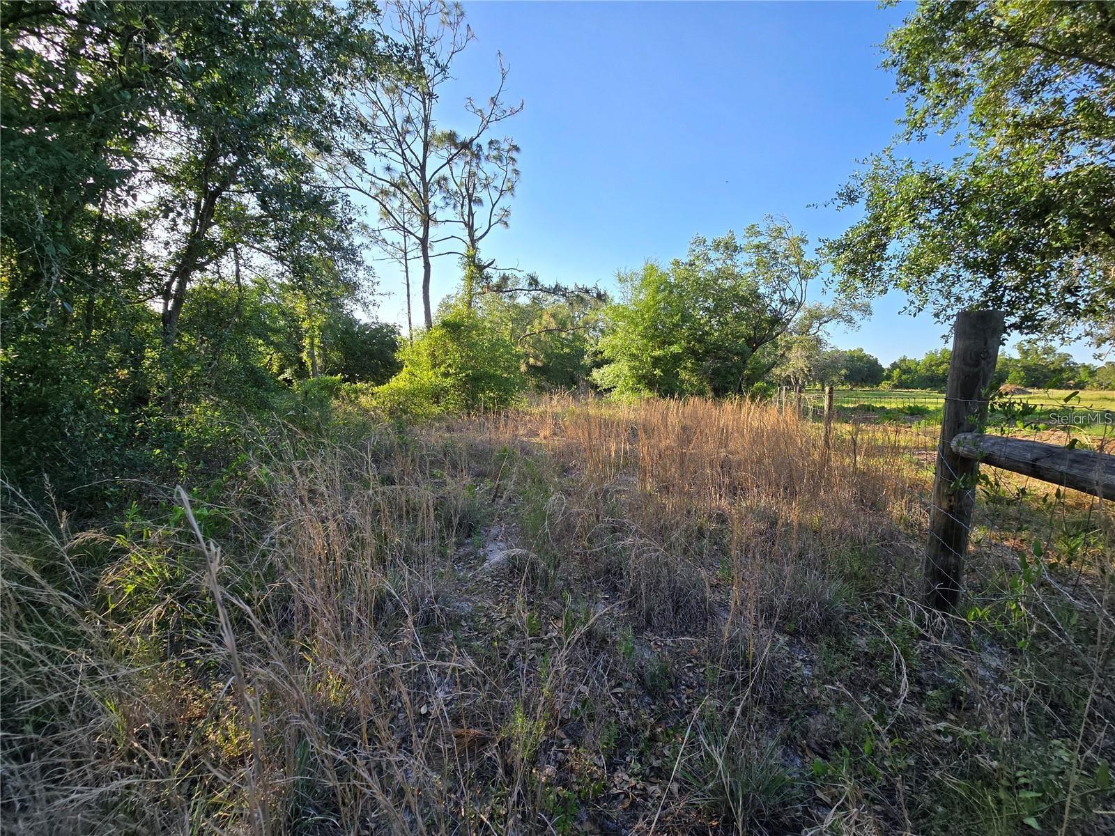 Waller Rd Property Photo 5