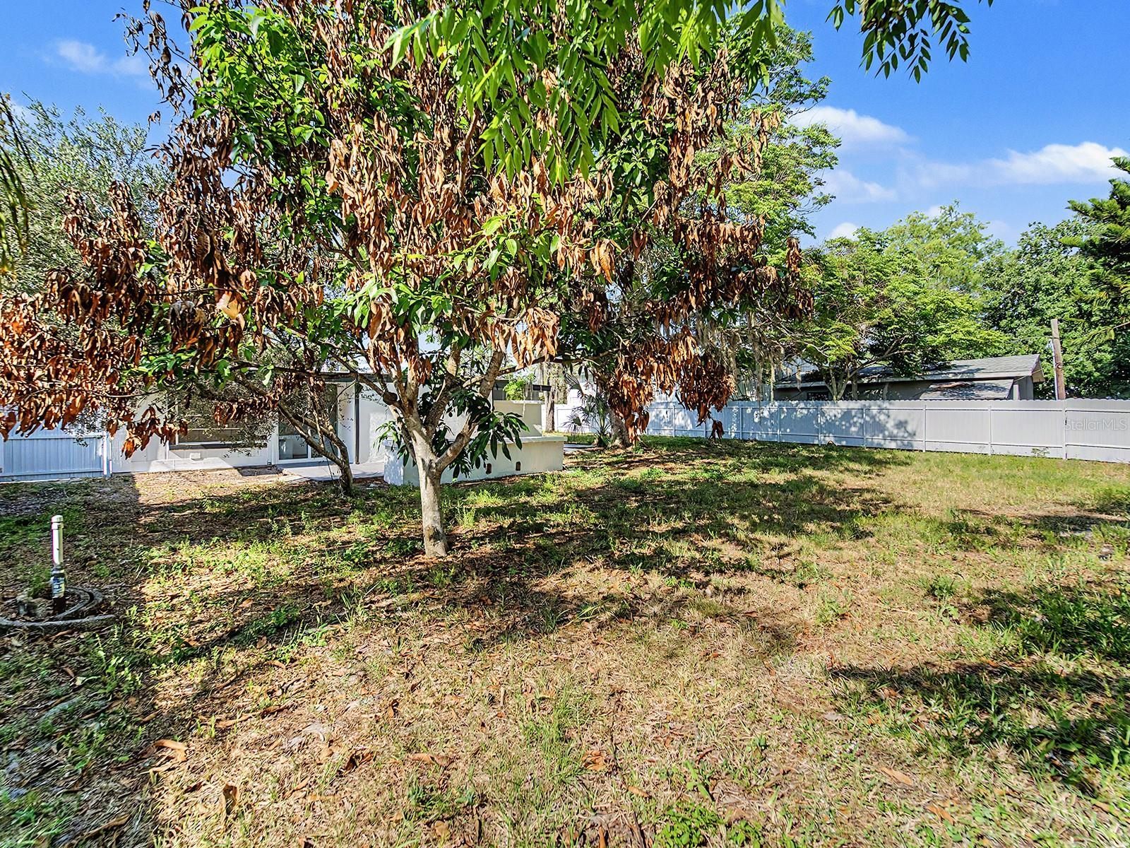 7708 Maryland Ave Property Photo 54