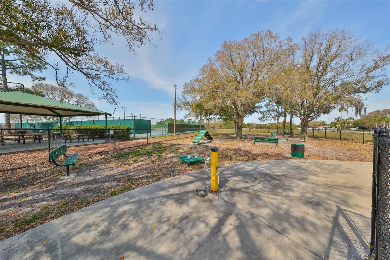 13403 Beechberry Dr Property Photo 46