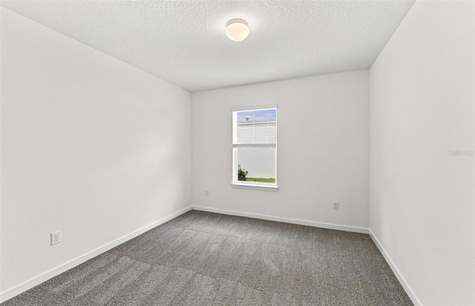 36790 Kistna Dr Property Photo 6