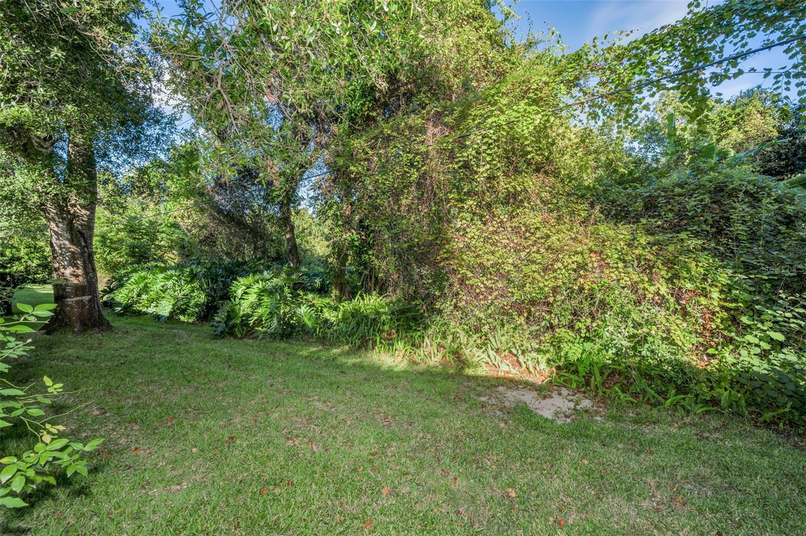 3500 Magnolia Ridge Cir #405 Property Photo 30