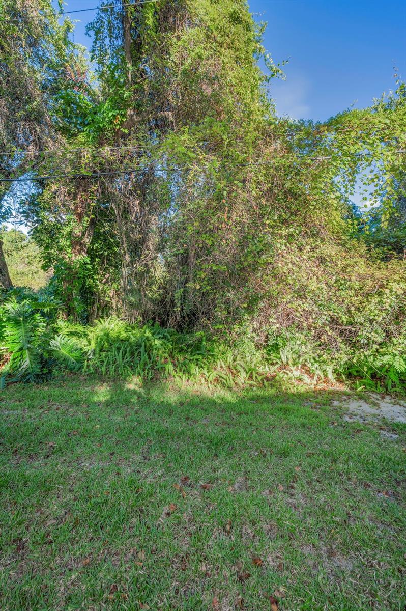 3500 Magnolia Ridge Cir #405 Property Photo 31