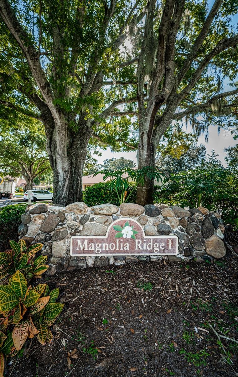 3500 Magnolia Ridge Cir #405 Property Photo 38