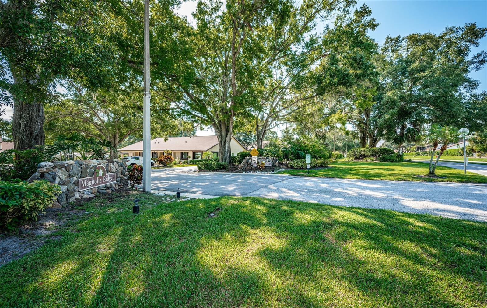 3500 Magnolia Ridge Cir #405 Property Photo 39