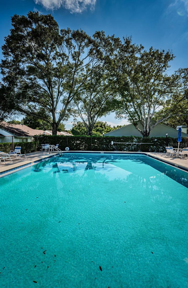 3500 Magnolia Ridge Cir #405 Property Photo 42