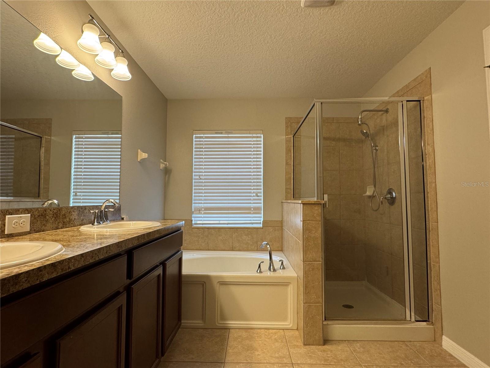 10405 Summer Azure Dr Property Photo 18
