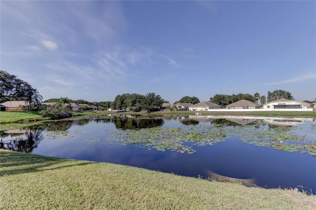 12213 Ravens Nest Pl Property Photo 44