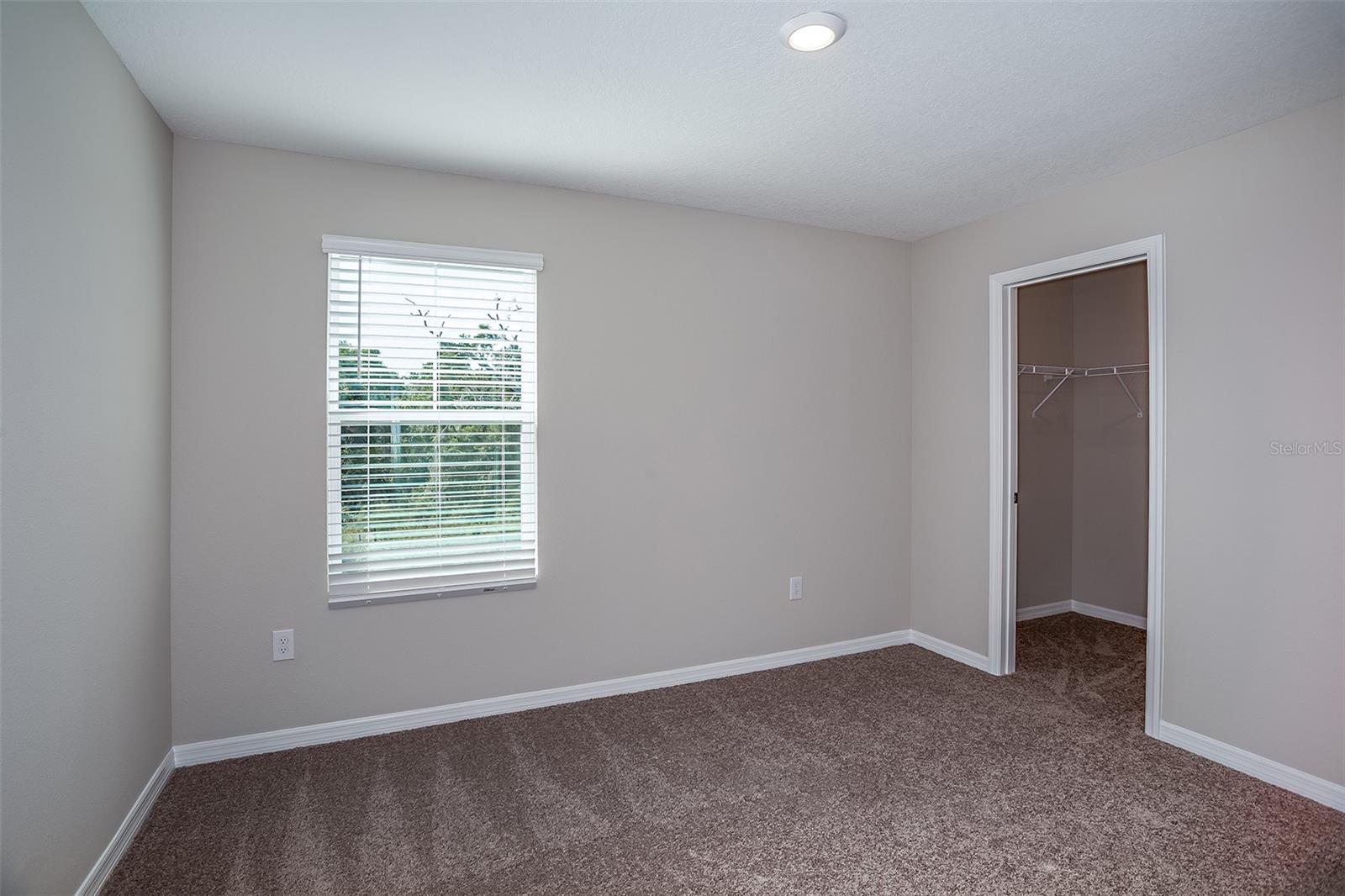 5445 San Pietro Dr Property Photo 16