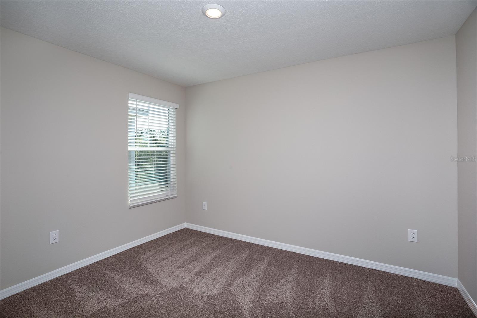 5445 San Pietro Dr Property Photo 19