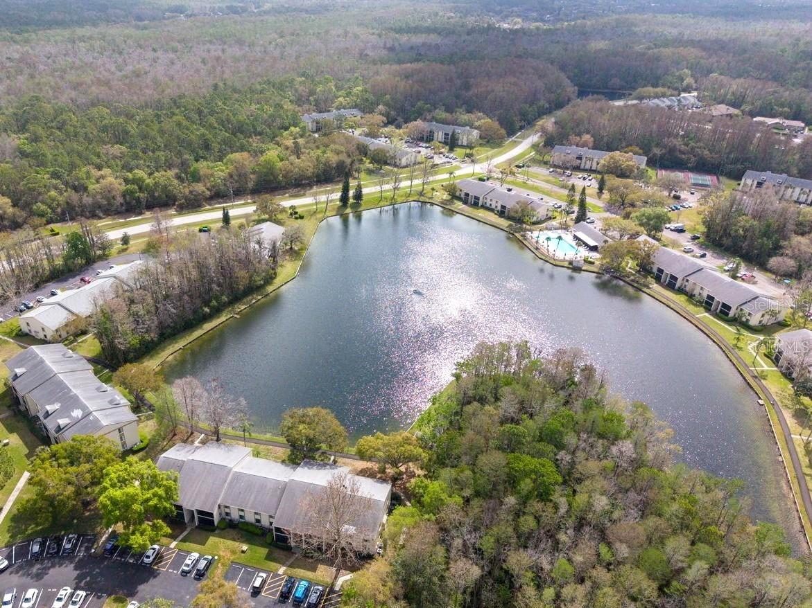 3101 Lake Pine Way #a1 Property Photo 3
