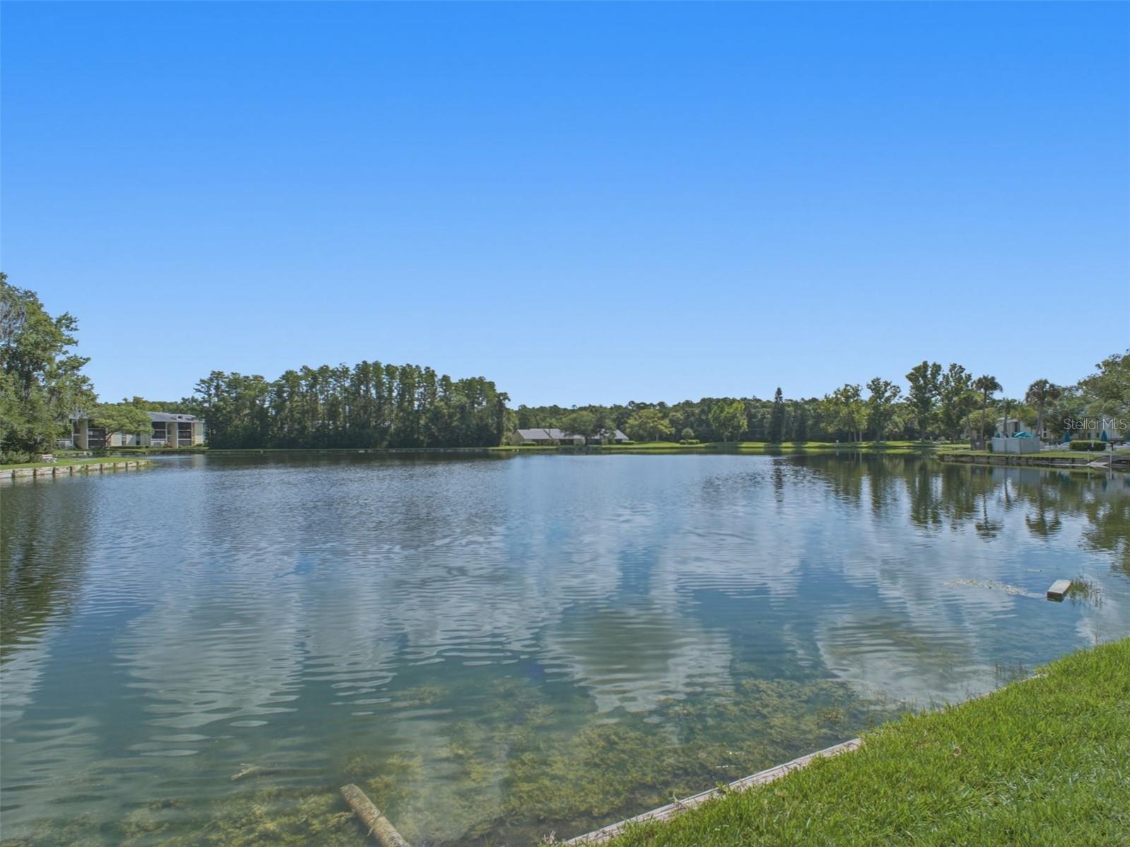 3101 Lake Pine Way #a1 Property Photo 17