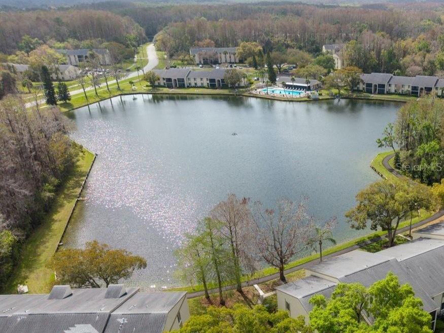 3101 Lake Pine Way #a1 Property Photo 47