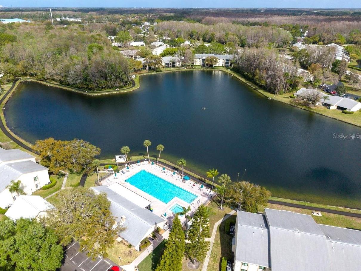 3101 Lake Pine Way #a1 Property Photo 48