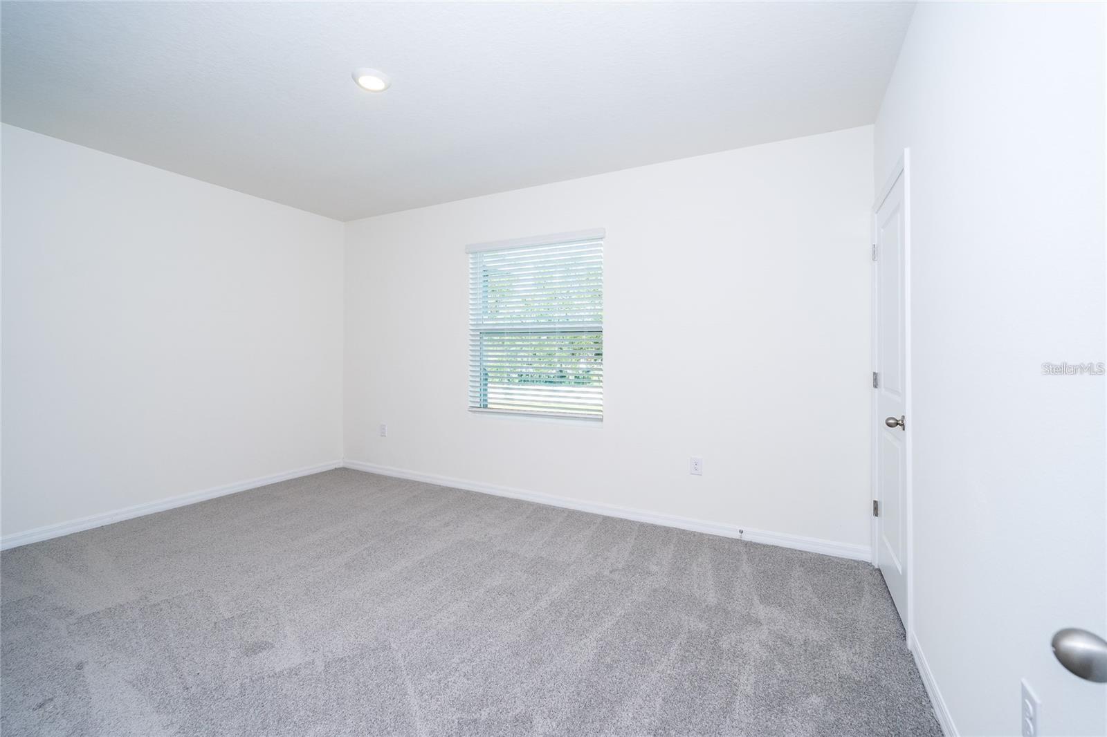 34293 Sorrel Mint Dr Property Photo 18
