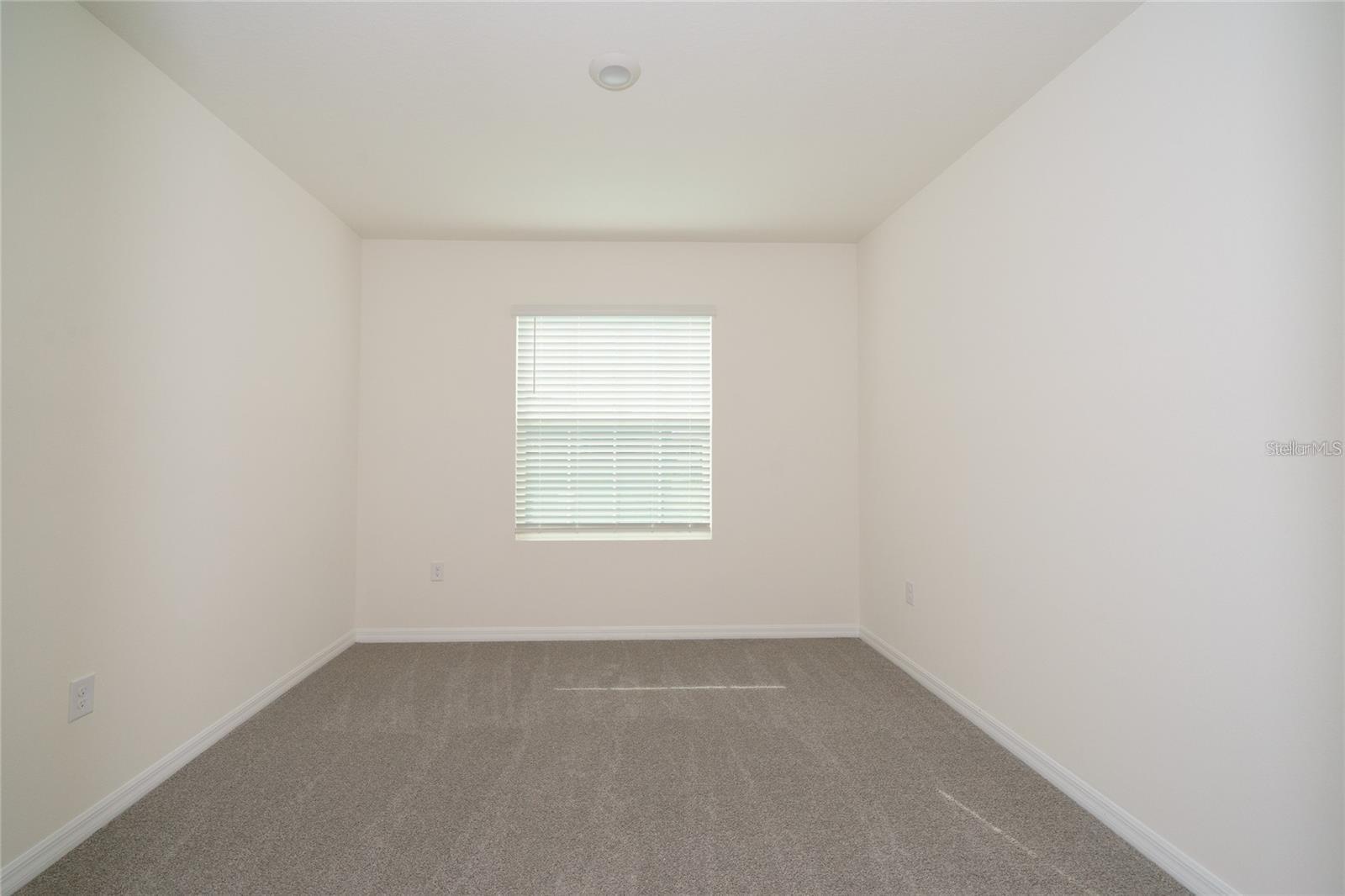34293 Sorrel Mint Dr Property Photo 27