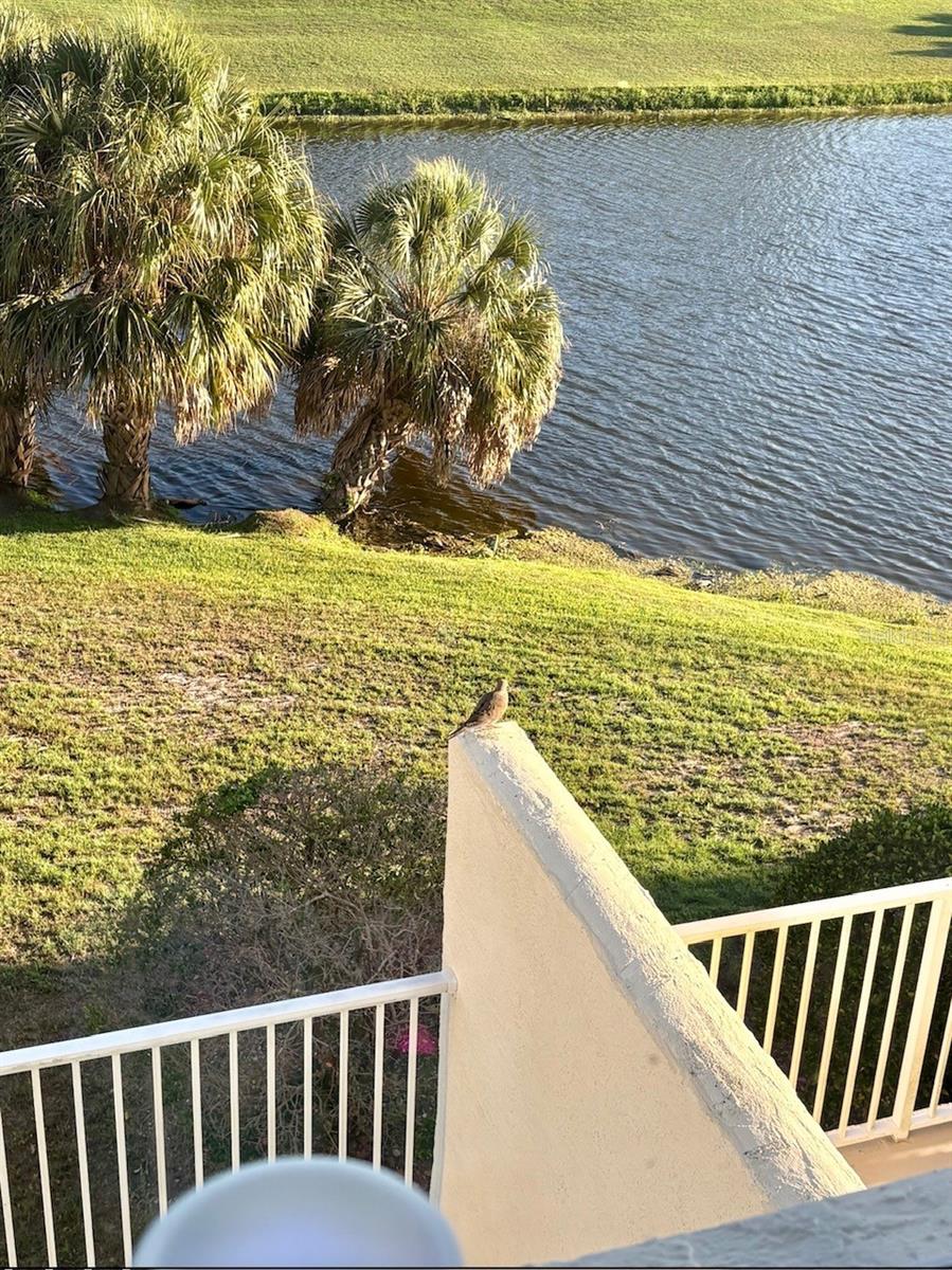1200 Country Club Dr #2205 Property Photo 34