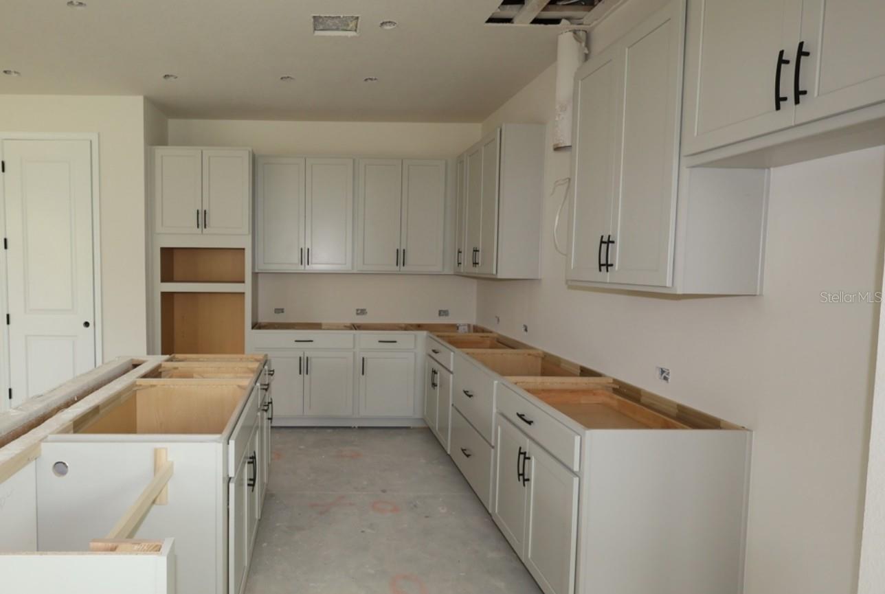 3519 Yellow Cassia Dr Property Photo 8