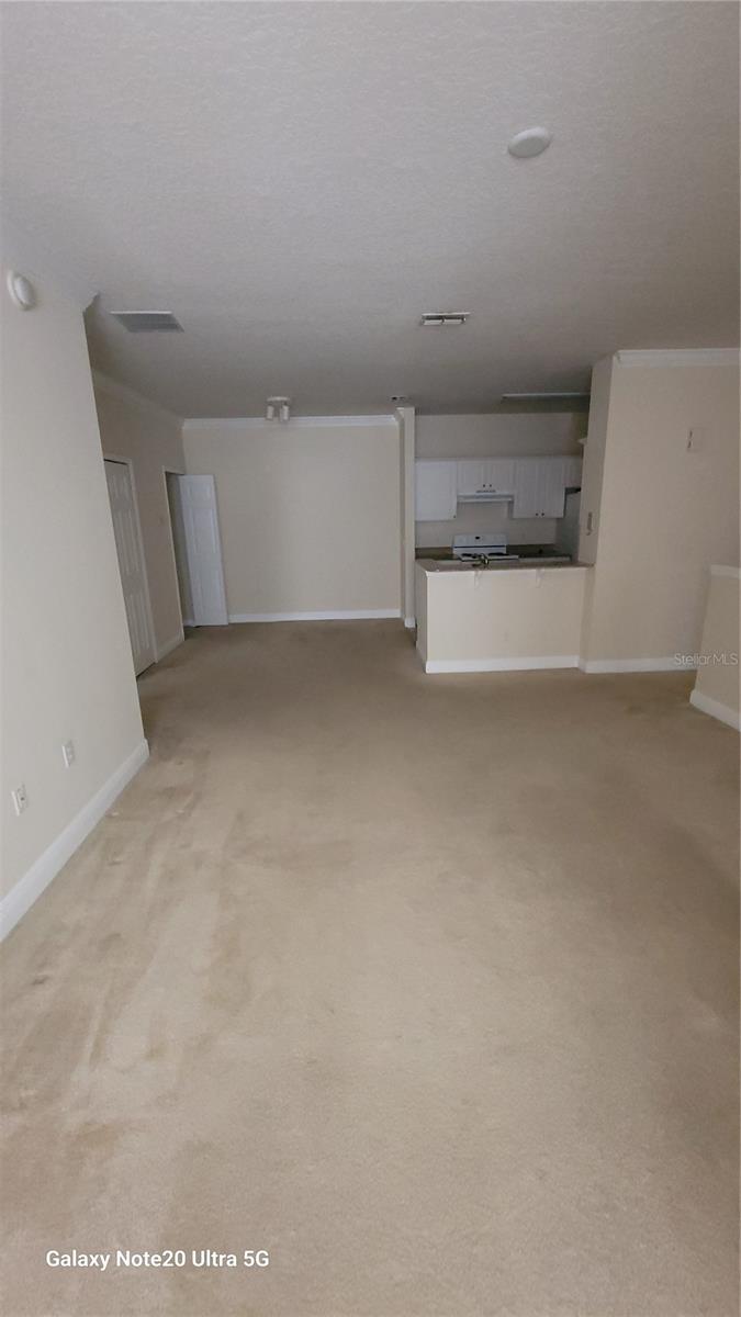 430 Southern Pecan Cir #203 Property Photo 5
