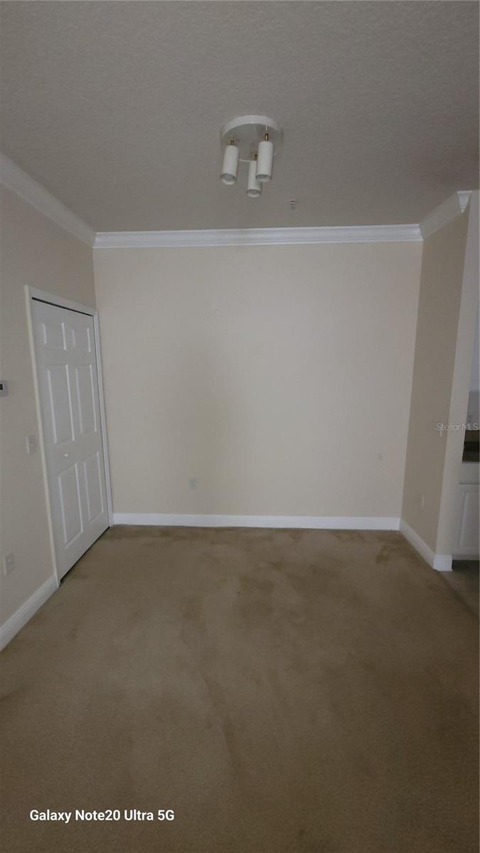 430 Southern Pecan Cir #203 Property Photo 8