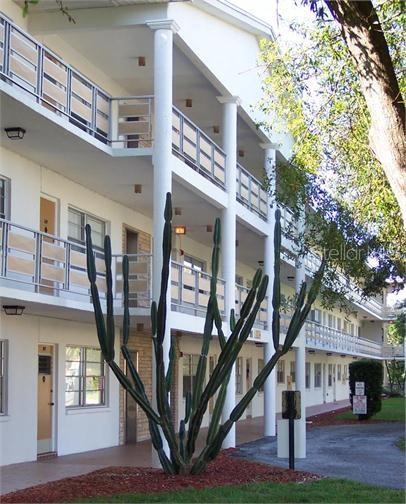 911 Washington Ave #305 Property Photo 13