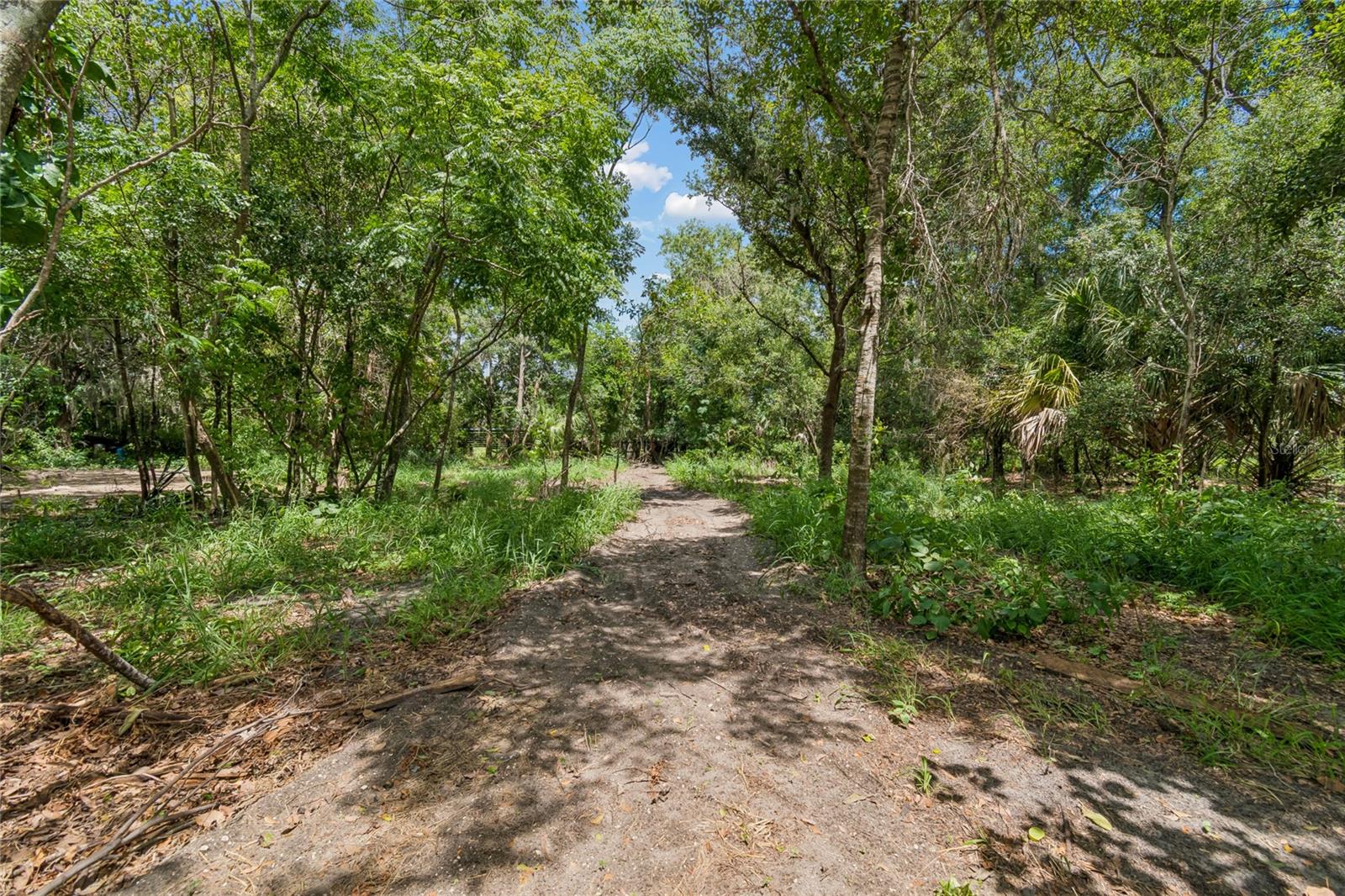 15628 Carlton Lake Rd Property Photo 23