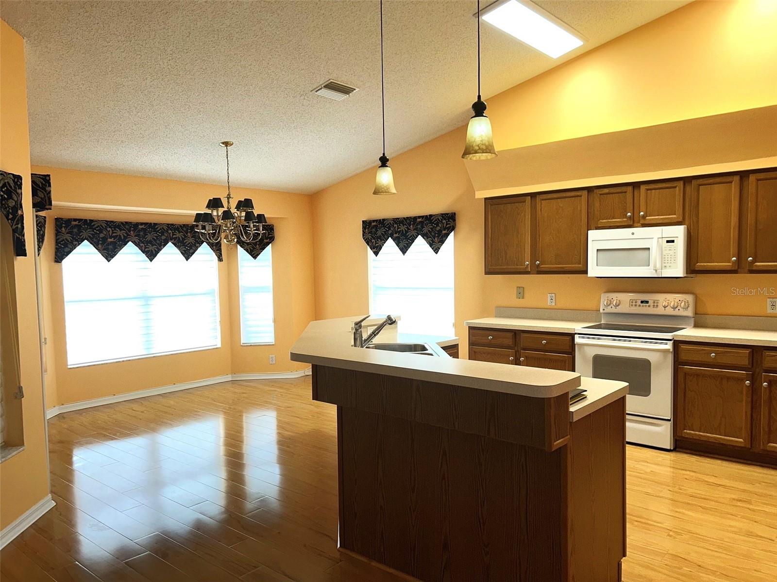 18702 Bellevista Ct Property Photo 7