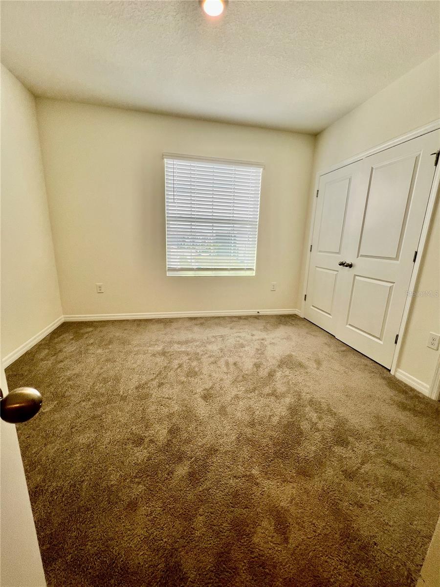 32557 Turtle Grace Loop Property Photo 12