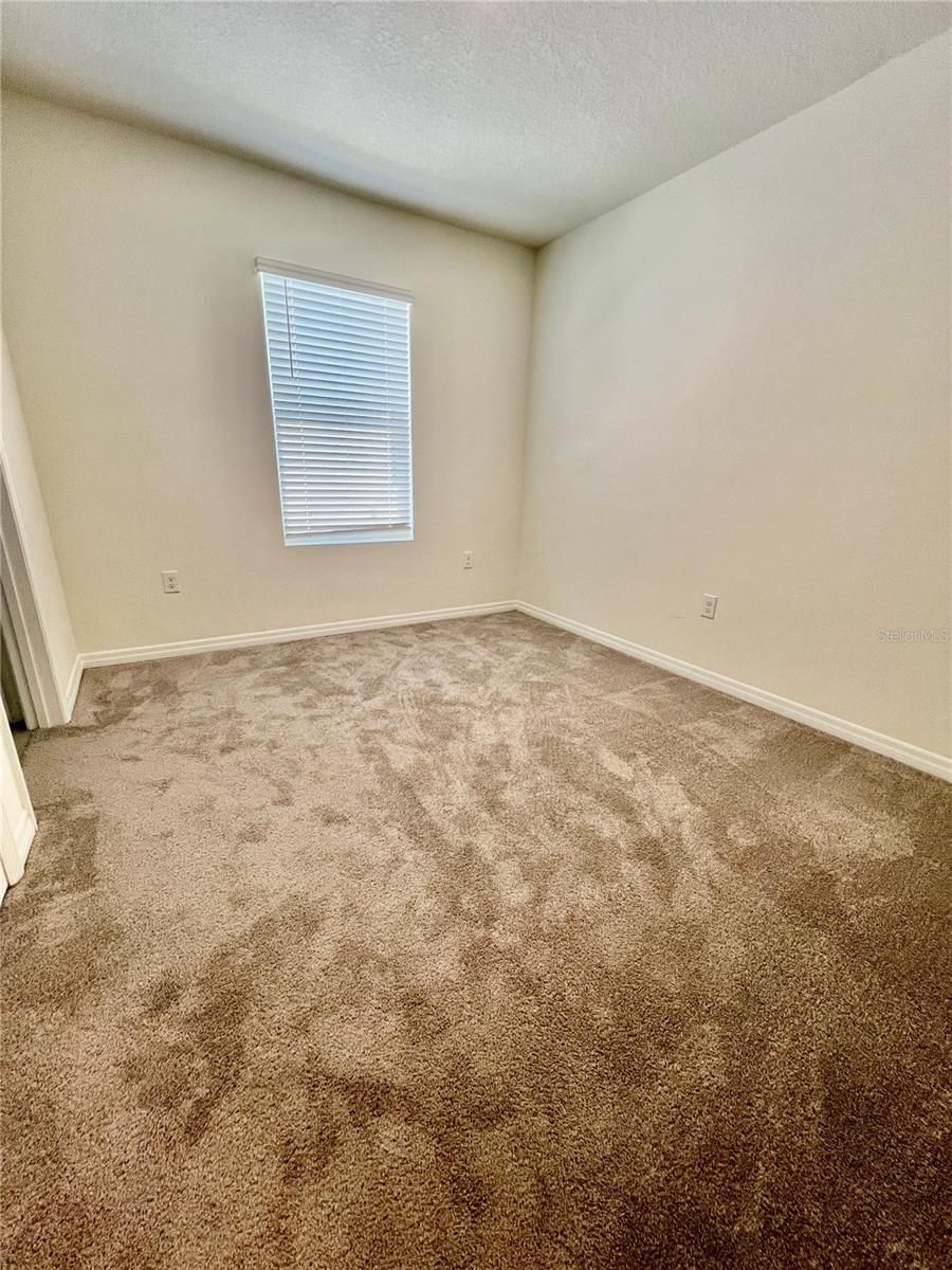 32557 Turtle Grace Loop Property Photo 20