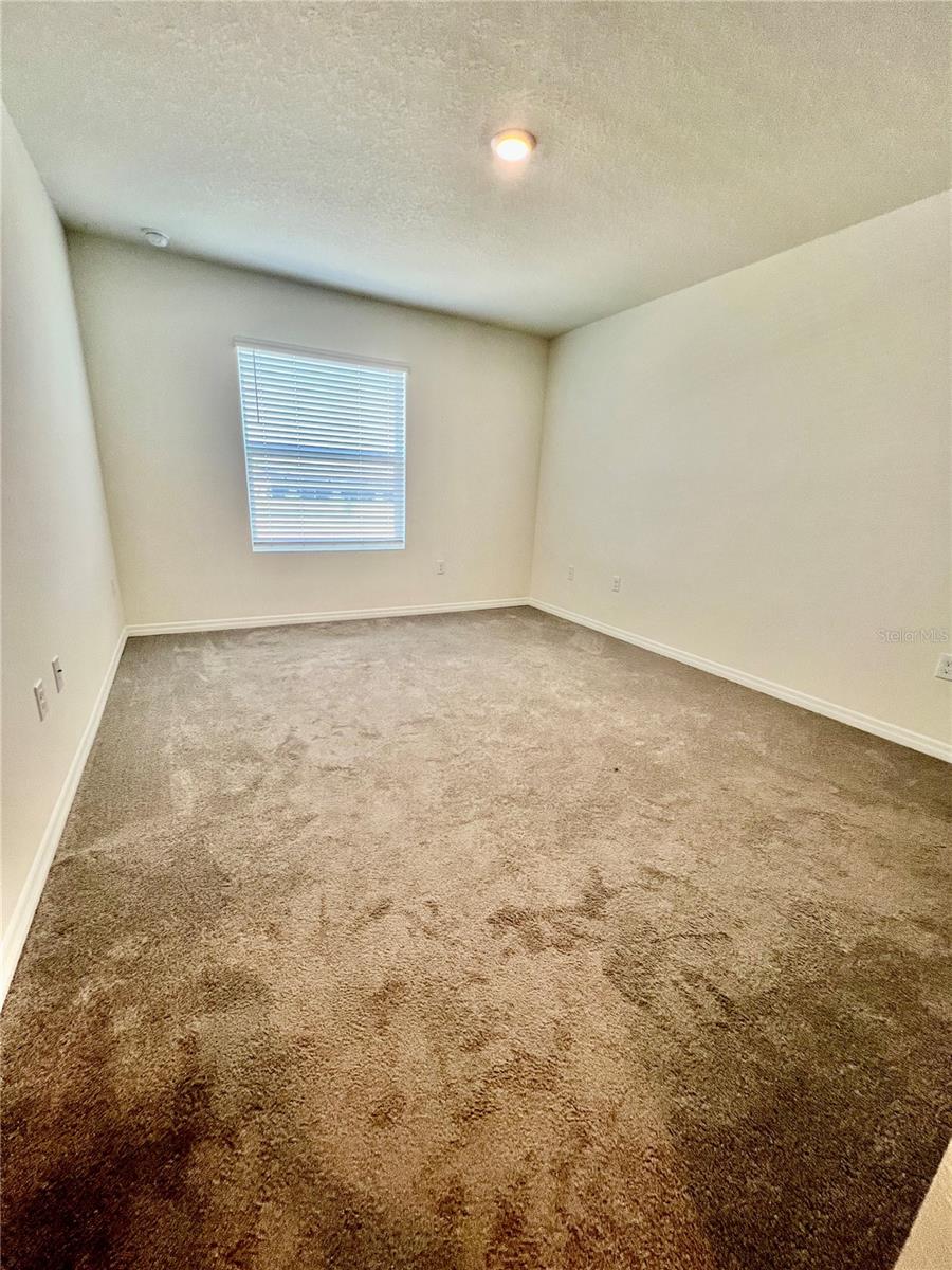 32557 Turtle Grace Loop Property Photo 22