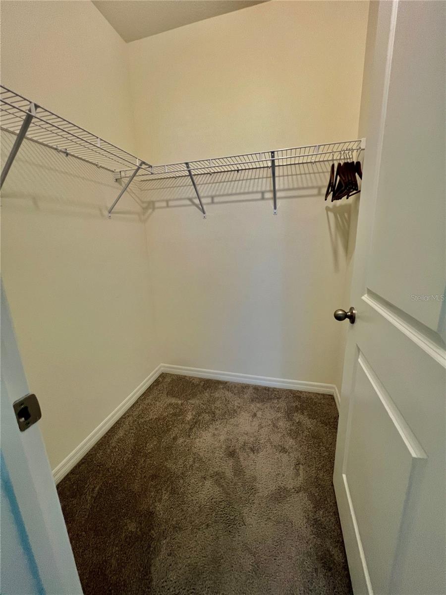 32557 Turtle Grace Loop Property Photo 23