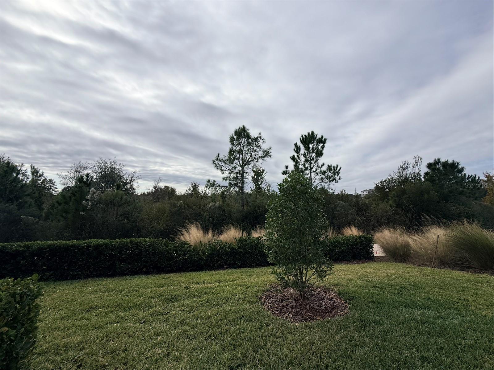 5443 Elmview Xing Property Photo 36
