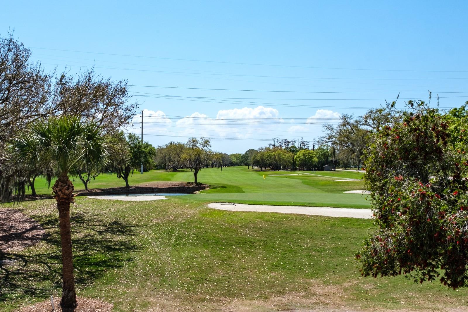215 Clays Trl Property Photo 33